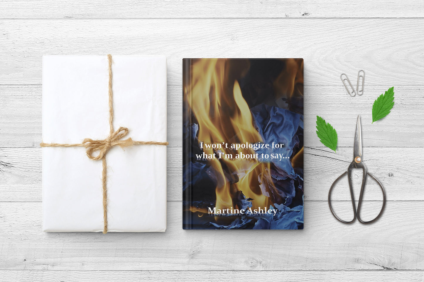 LIMITED SIGNED COPY EDITION - I Won't Apologize For What I'm About To Say.